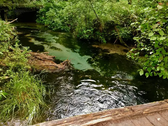 上高地