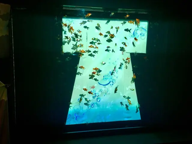 【閉業】アートアクアリウム