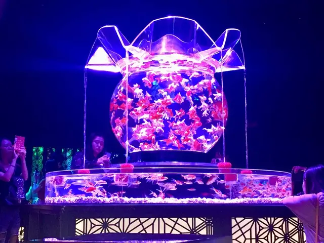 【閉業】アートアクアリウム