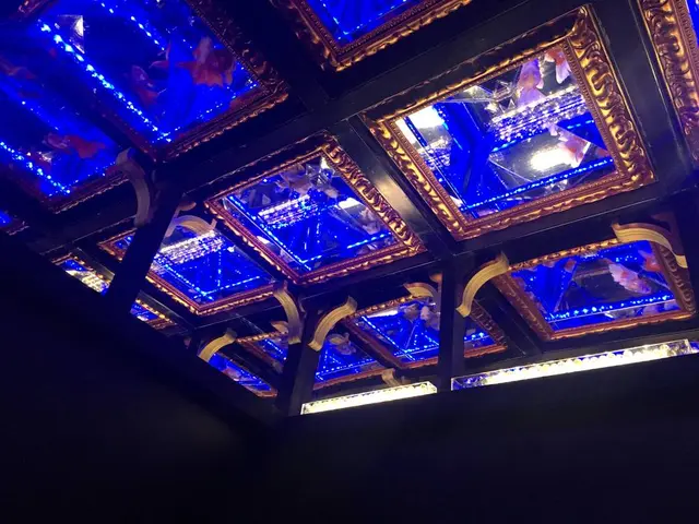 【閉業】アートアクアリウム