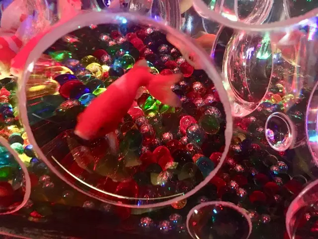 【閉業】アートアクアリウム