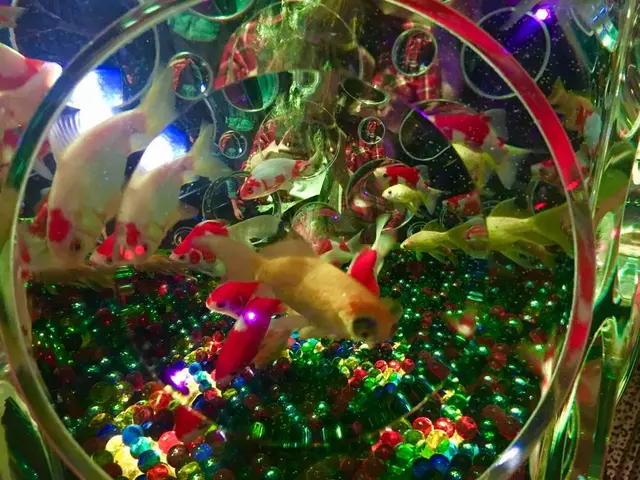 【閉業】アートアクアリウム