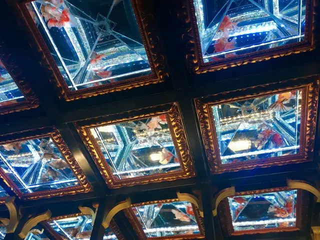 【閉業】アートアクアリウム