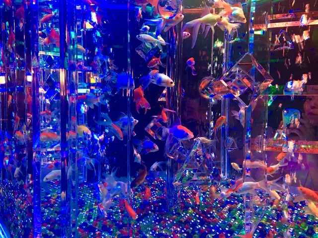 【閉業】アートアクアリウム