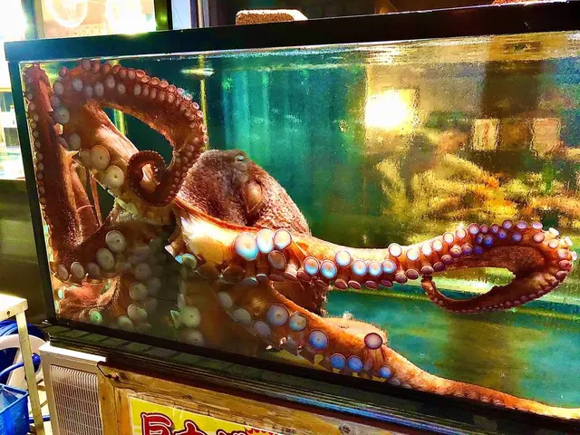 海光房