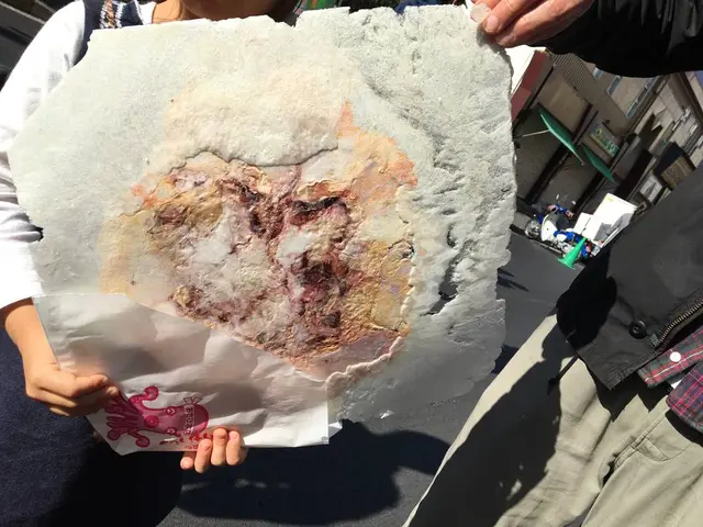 丸焼きたこせんべい 築地市場店