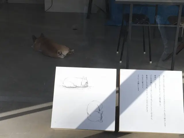 Faith Coffee Company（フェイス コーヒー カンパニー）