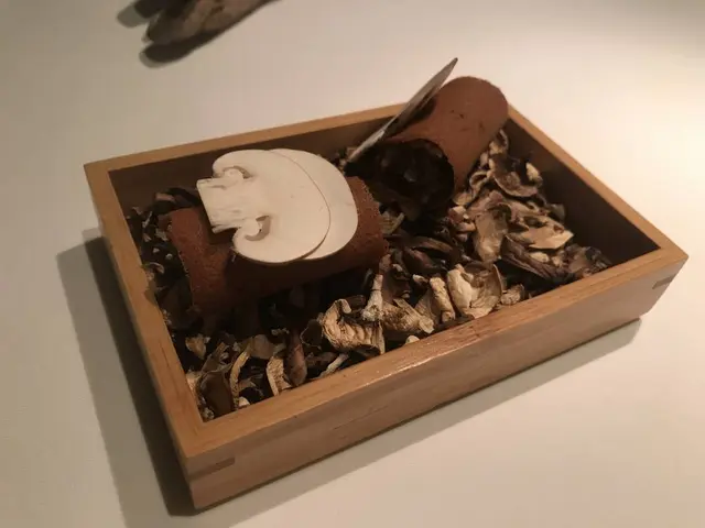 レストランビオス