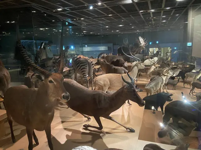 国立科学博物館