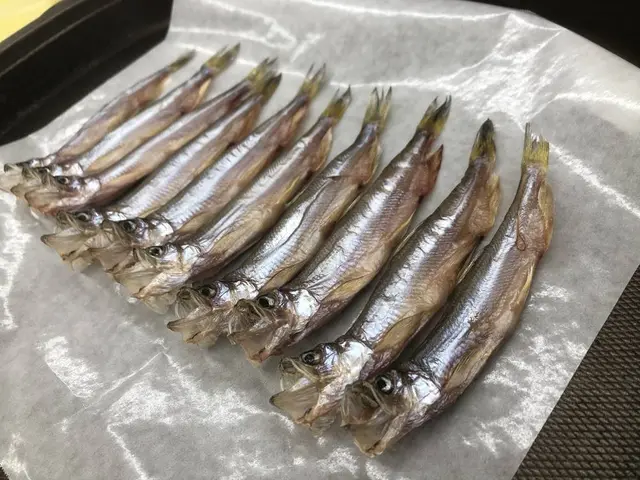 カネダイ大野商店