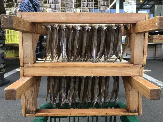 カネダイ大野商店