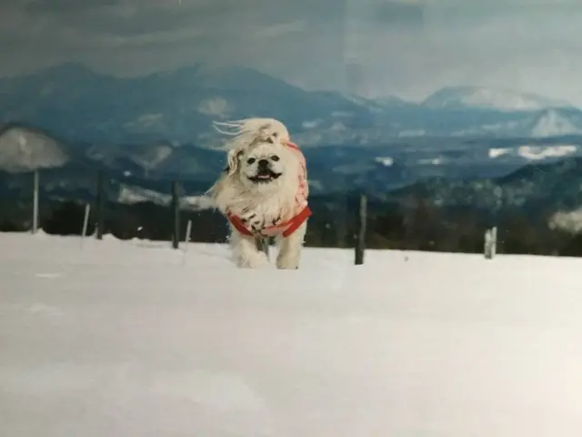 蔵王ハートランド