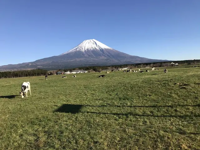 朝霧高原