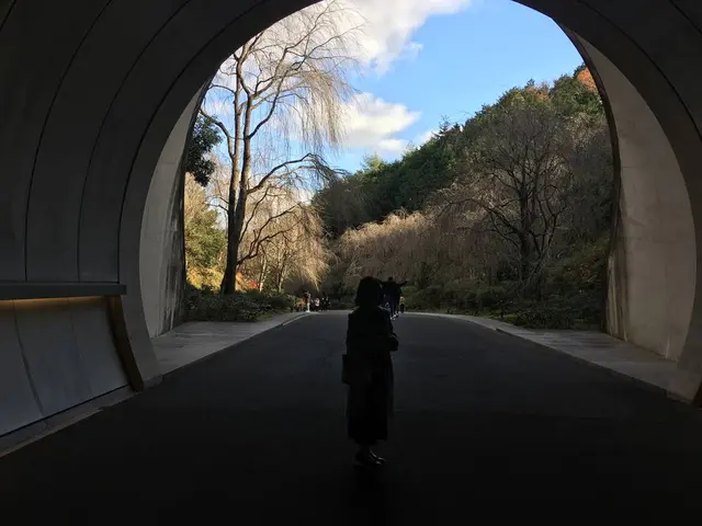 ミホミュージアム（バス）