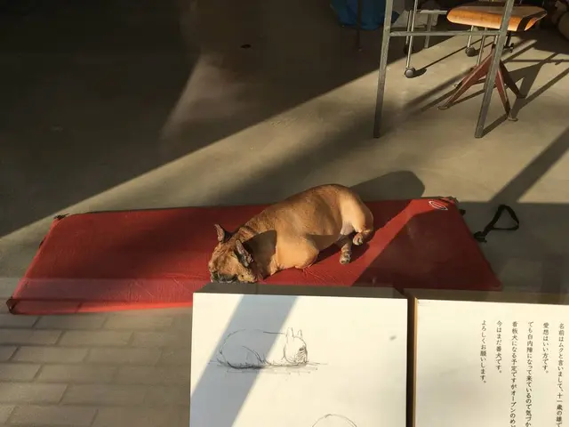 Faith Coffee Company（フェイス コーヒー カンパニー）