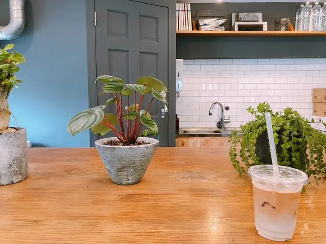 サイドウォーク スタンド （SIDEWALK STAND）
