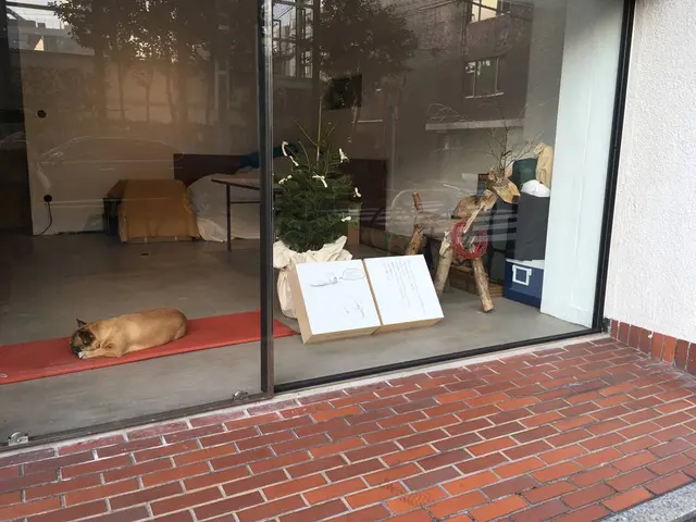 Faith Coffee Company（フェイス コーヒー カンパニー）