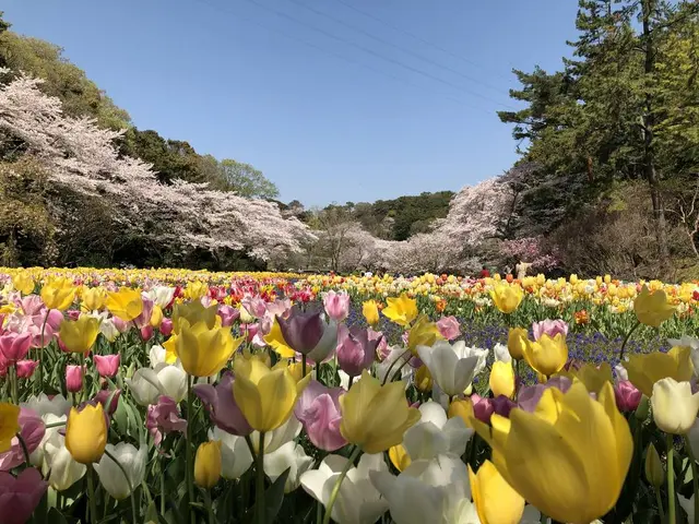 はままつフラワーパーク
