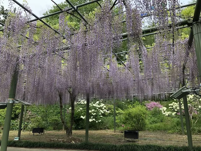 はままつフラワーパーク