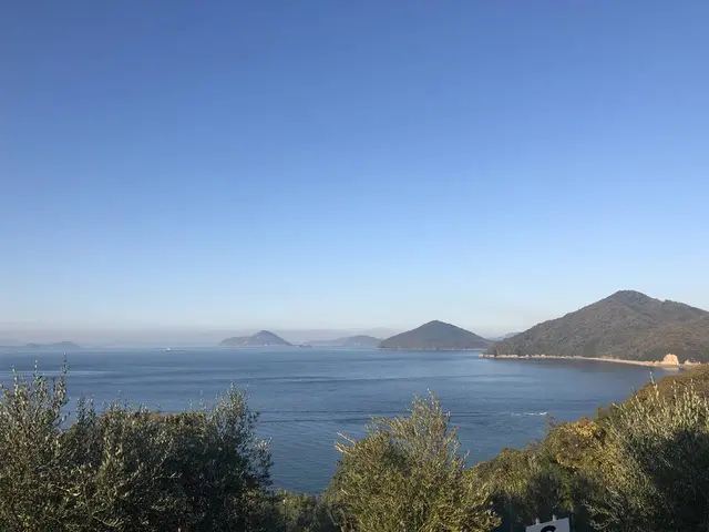 荘内半島オリーブ農園