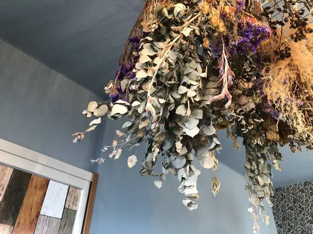 荘内半島オリーブ農園