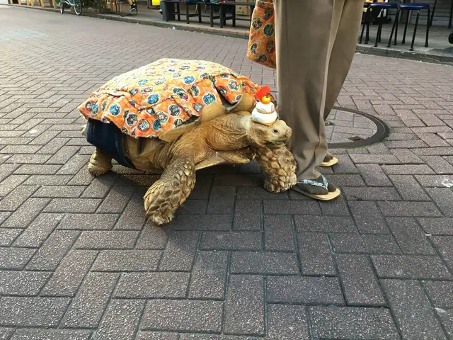 月島もんじゃストリート（月島西仲通り商店街）