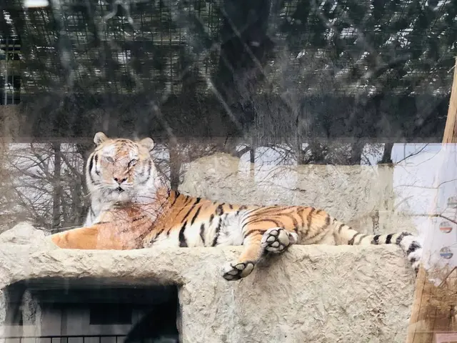 熊本市動植物園