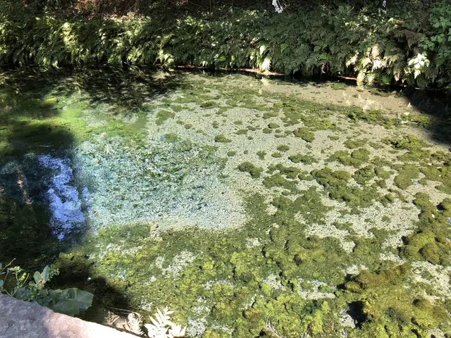白川水源