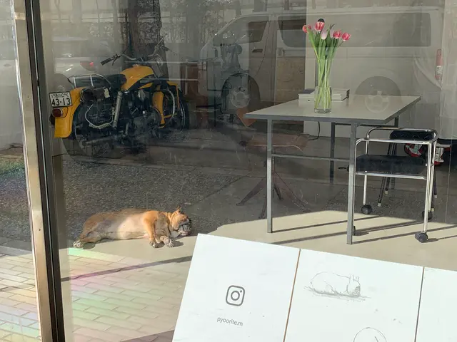 Faith Coffee Company（フェイス コーヒー カンパニー）