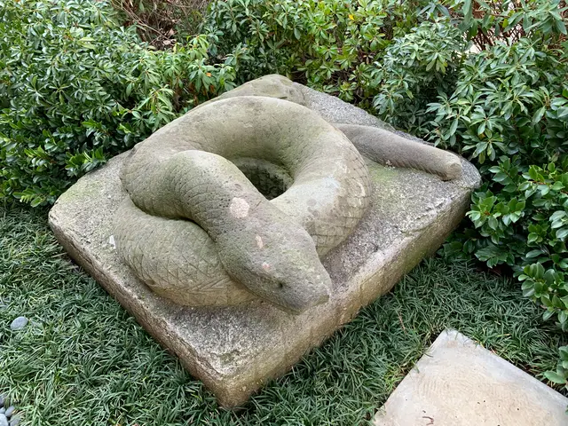宝珠院