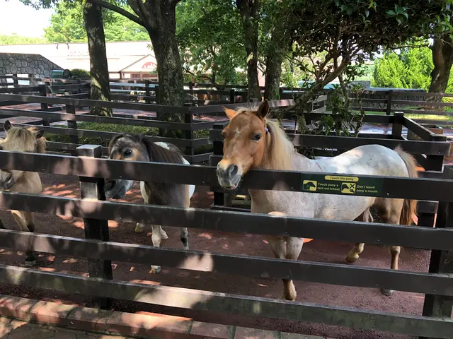 アフリカンサファリ