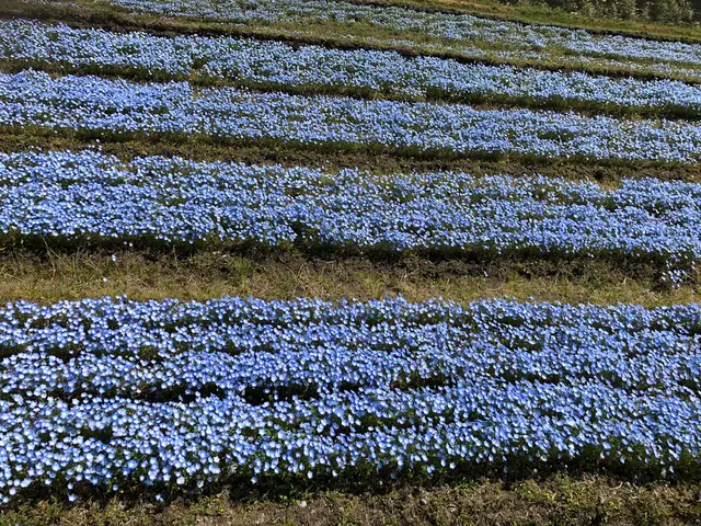 青ノ洞門