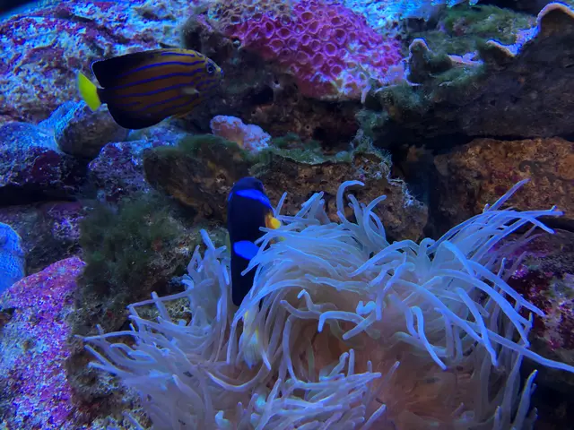 九十九島水族館海きらら