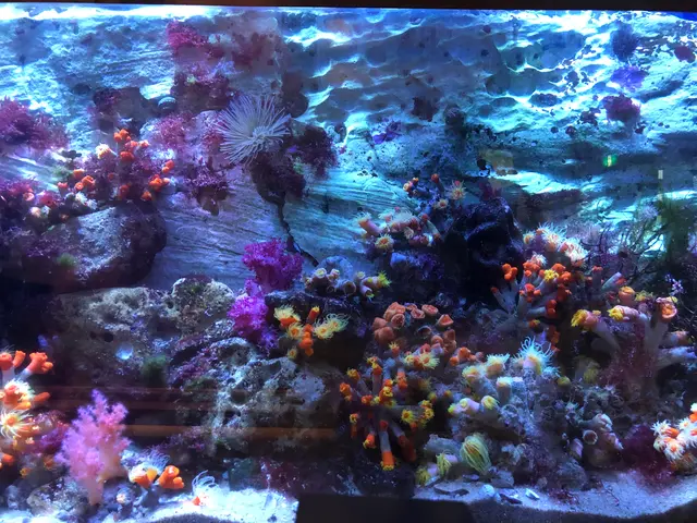 九十九島水族館海きらら
