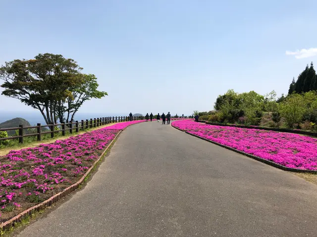 空の公園