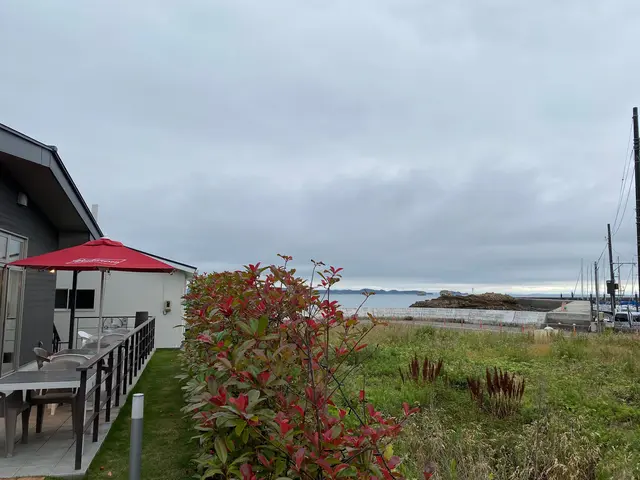 Shichi no Cafe ＆ Pizza