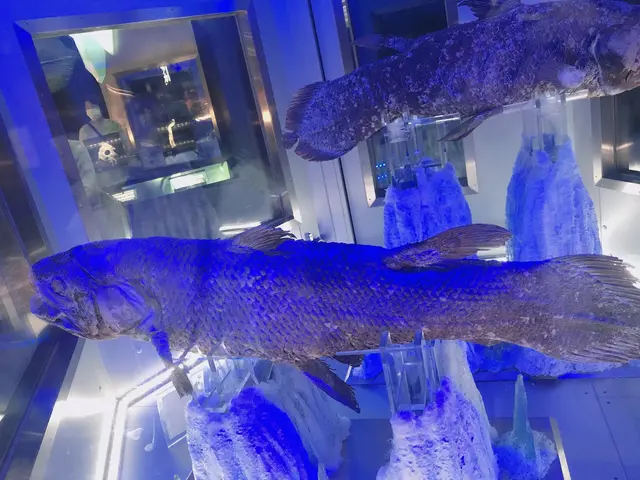 沼津港深海水族館