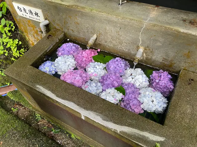 会津さざえ堂（円通三匝堂）