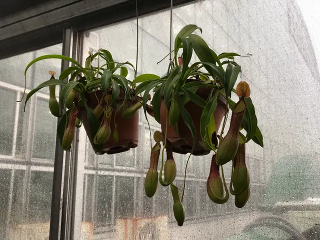 東京都夢の島熱帯植物館