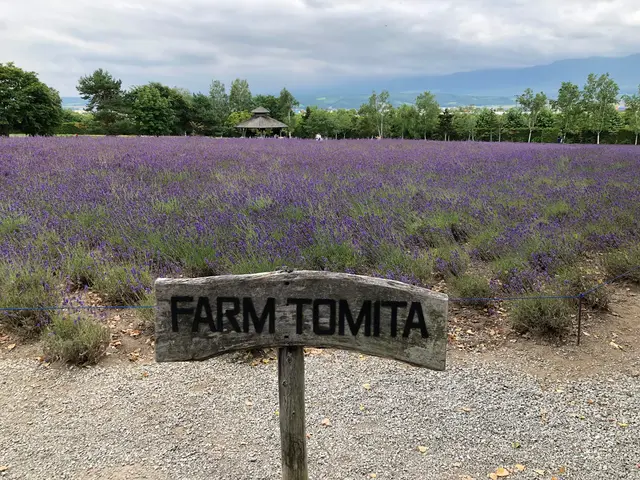 ファーム富田