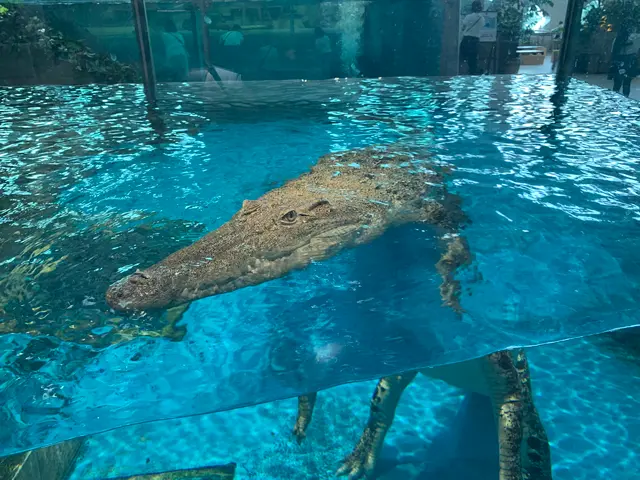 NIFREL（ニフレル）