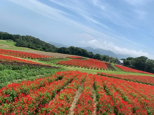あわじ花さじき