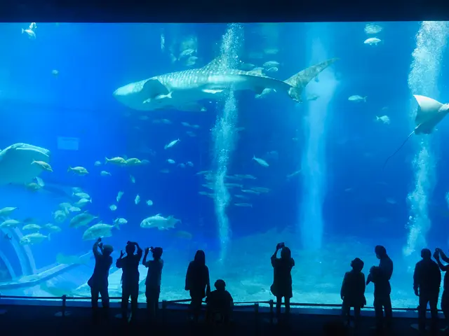 沖縄美ら海水族館