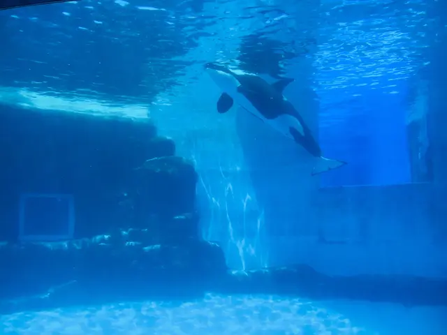 名古屋港水族館