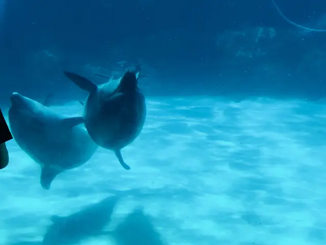 名古屋港水族館