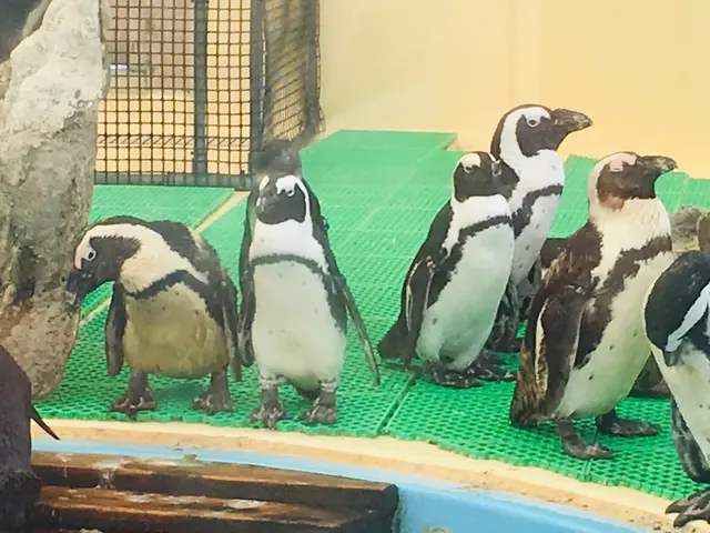 名古屋港水族館