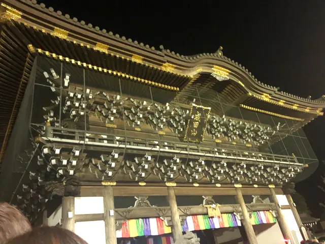 成田山新勝寺 総門