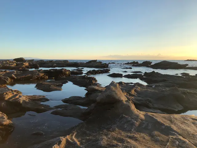 城ヶ島 馬の背洞門