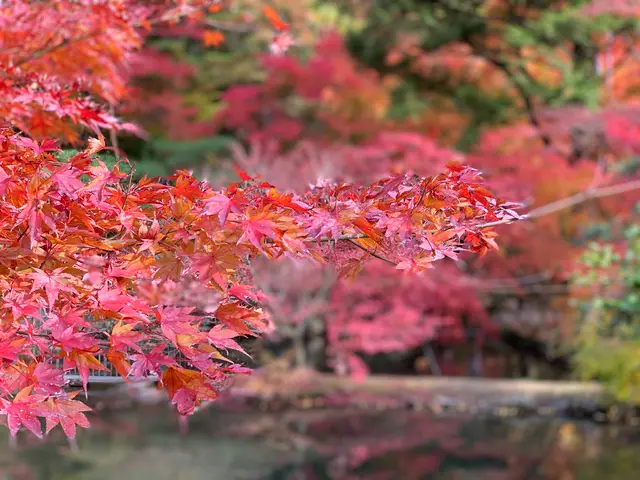 曽木公園