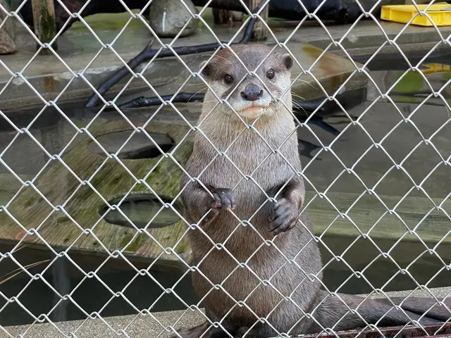 池田動物園